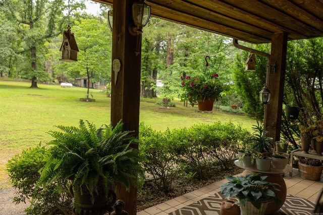 100 Rainbow Loop, Heber Springs, AR 72543 - view of grassy yard
