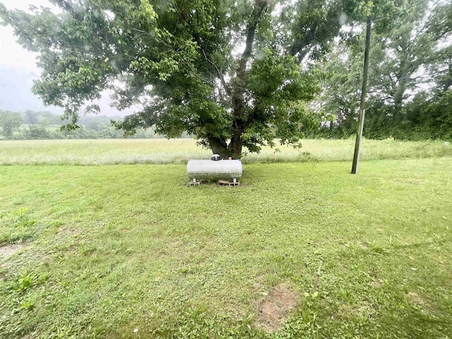11 Fruitwood Ln, Glencoe, AR 72539 - view of green lawn