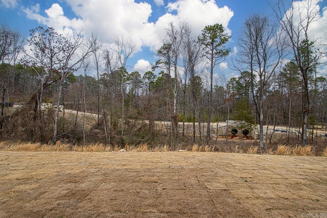 22 Abington Ct, Little Rock, AR 72223 - view of yard