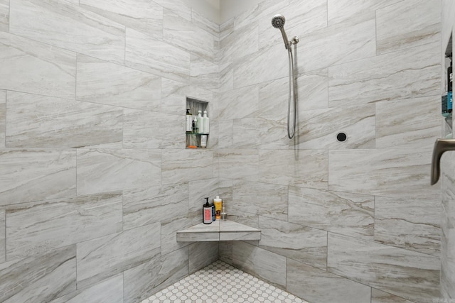 1045 Boulder Dr, Little Rock, AR 72210 - bathroom featuring tiled shower