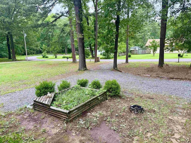 9925 Dublin Dr, Shannon Hills, AR 72103 - view of grassy yard