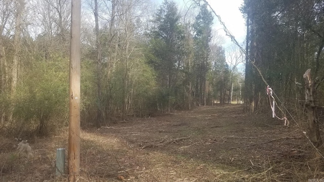 6 Bear Trl, Conway, AR 72034
