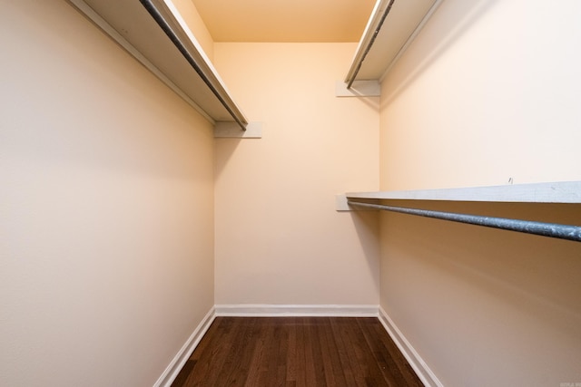 99 Kingsbridge Way, Little Rock, AR 72212 - walk in closet with dark wood-style flooring