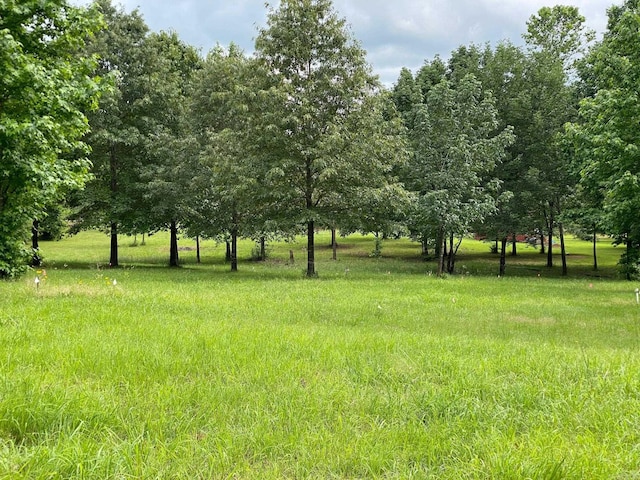 Ridge Crk, Quitman, AR 72131