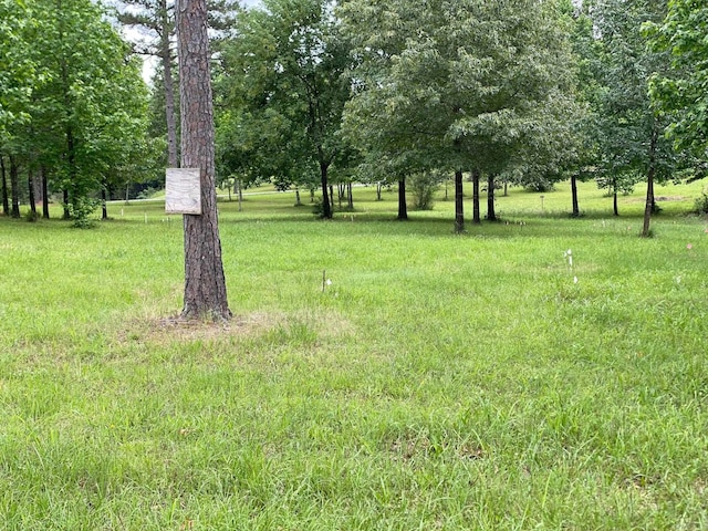 Ridge Crk, Quitman, AR 72131