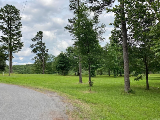 Ridge Crk, Quitman, AR 72131