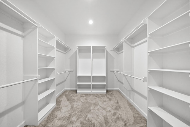 284 Shiloh, Beebe, AR 72102 - walk in closet featuring carpet floors