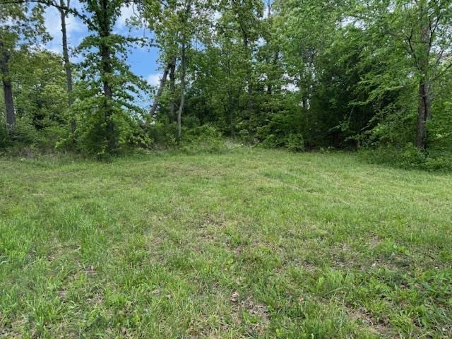2207 E Diamond Lake Dr, Horseshoe Bend, AR 72512