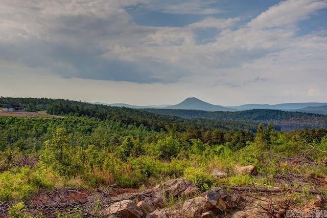 LOT7 Waterview Dr, Roland, AR 72135
