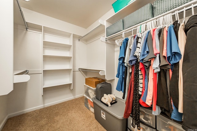 3305 Garden Club Dr, Bryant, AR 72022 - spacious closet with carpet