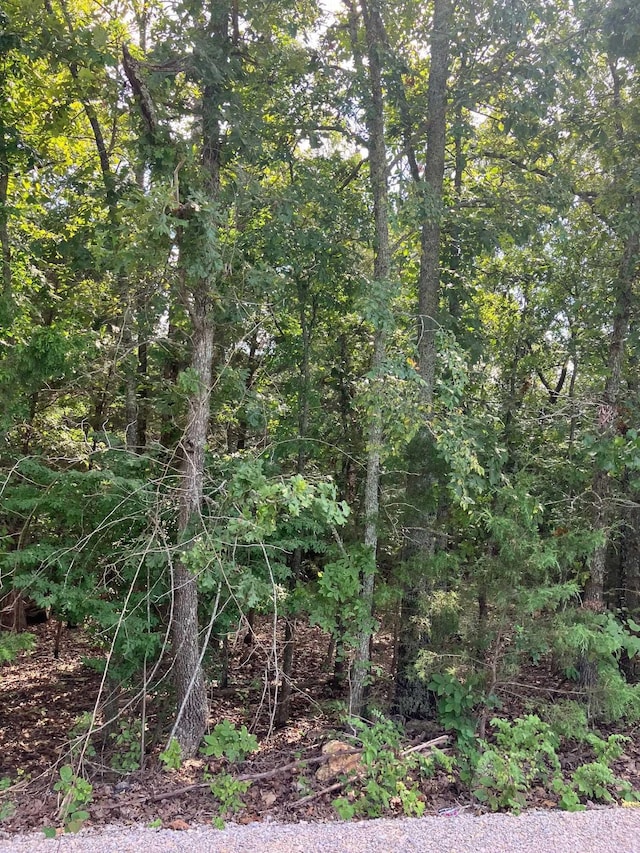 LOTS95 Larkspur Ln, Mountain Home, AR 72653