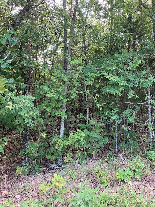 LOTS95 Larkspur Ln, Mountain Home, AR 72653