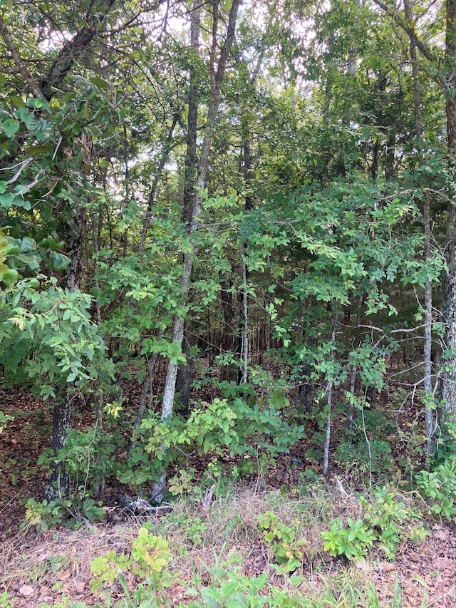 LOTS95 Larkspur Ln, Mountain Home, AR 72653