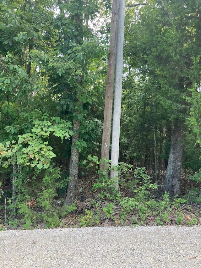 LOTS95 Larkspur Ln, Mountain Home, AR 72653