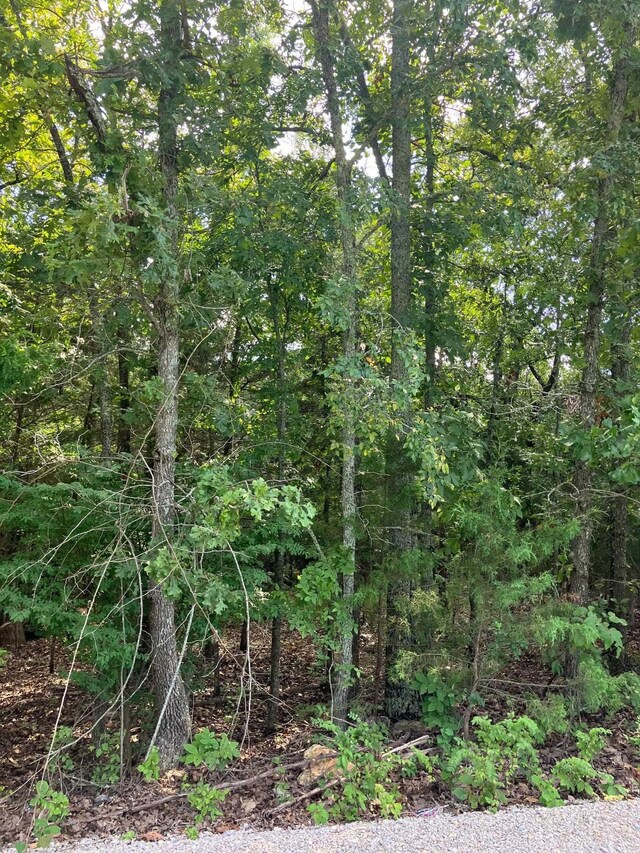LOTS95 Larkspur Ln, Mountain Home, AR 72653