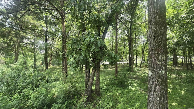 LOT76 Crossbow Pl, Fairfield Bay, AR 72088