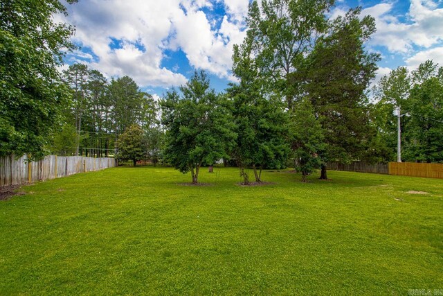 1208 Hilltop Rd, Alexander, AR 72022 - view of yard