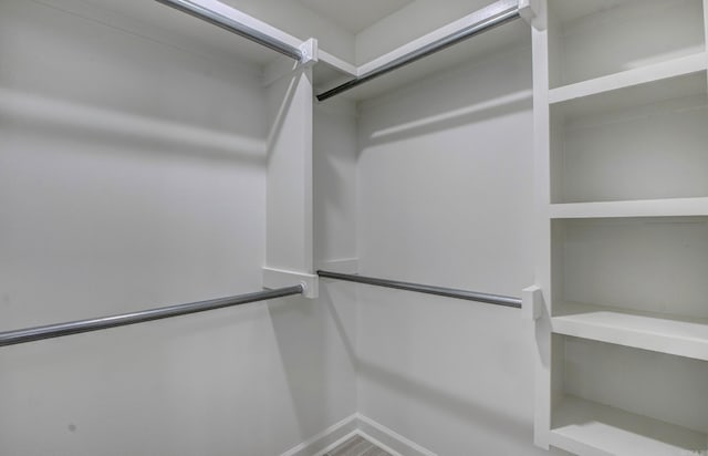 69 Lucia Ln, Maumelle, AR 72113 - view of walk in closet