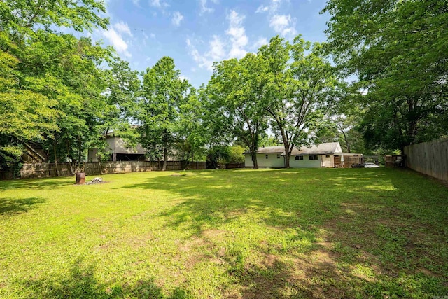 10111 Kling Rd, Mabelvale, AR 72103 - view of yard
