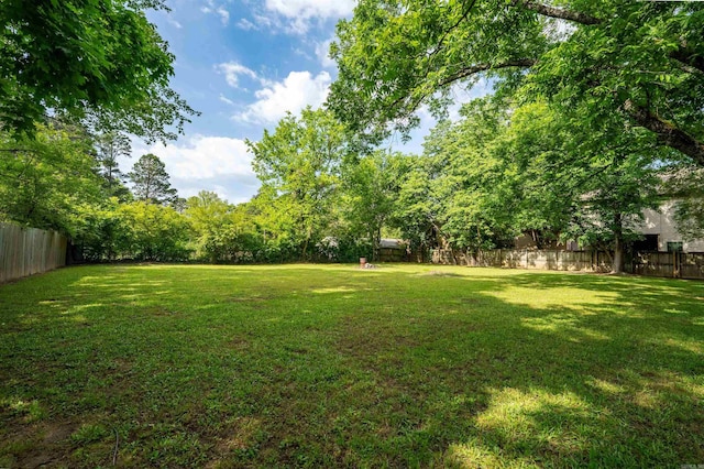 10111 Kling Rd, Mabelvale, AR 72103 - view of yard