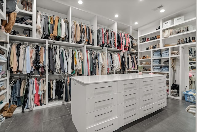 3307 Pruetts Chapel Rd, Paragould, AR 72450 - view of walk in closet
