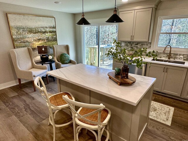 2529 Brandy Dr, Heber Springs, AR 72543 - kitchen featuring a sink, dark wood-style flooring, and healthy amount of natural light