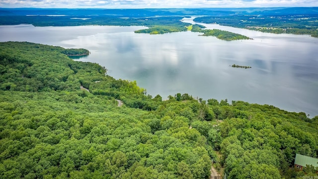 200 Diamond Point Rd, Quitman, AR 72131