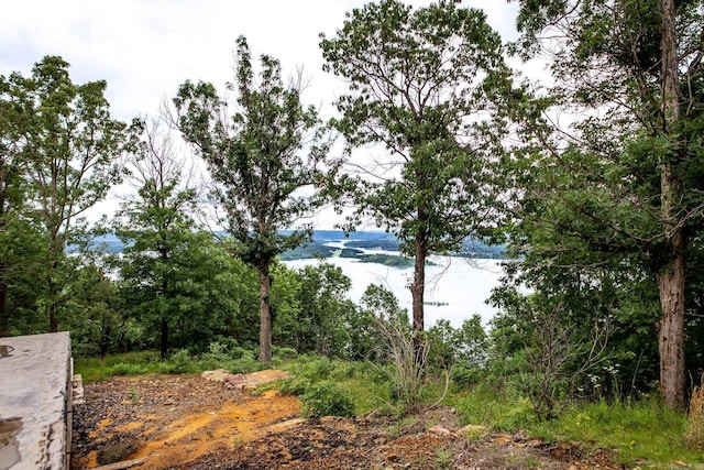 200 Diamond Point Rd, Quitman, AR 72131