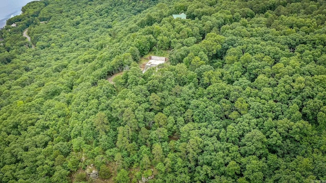 200 Diamond Point Rd, Quitman, AR 72131