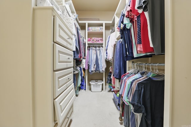53 Maisons, Little Rock, AR 72223 - walk in closet featuring carpet