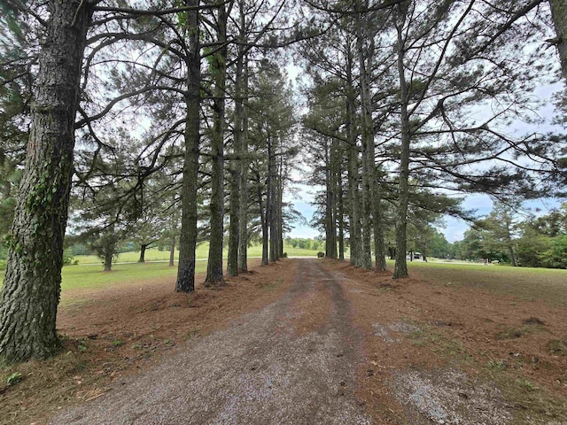 2373 W Rd, Mount Pleasant, AR 72561 - view of dirt / gravel road