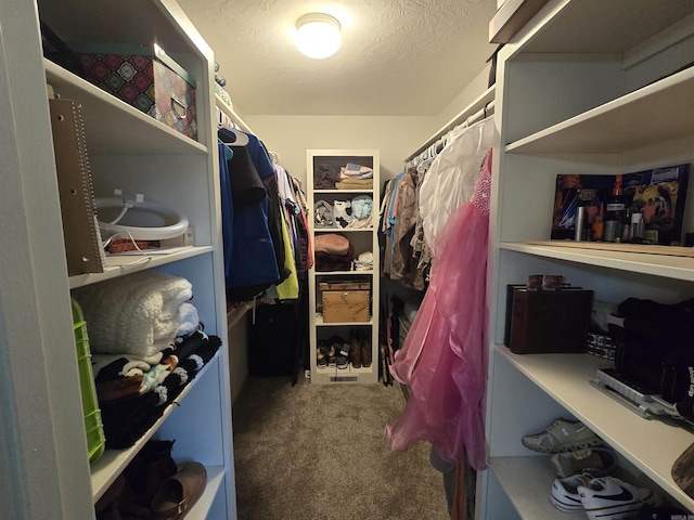 2373 W Rd, Mount Pleasant, AR 72561 - spacious closet featuring carpet