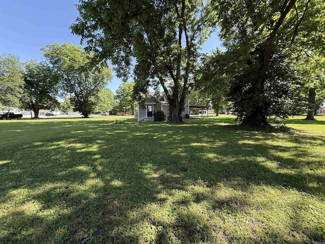507 E Bruce St, Piggott, AR 72454 - view of green lawn
