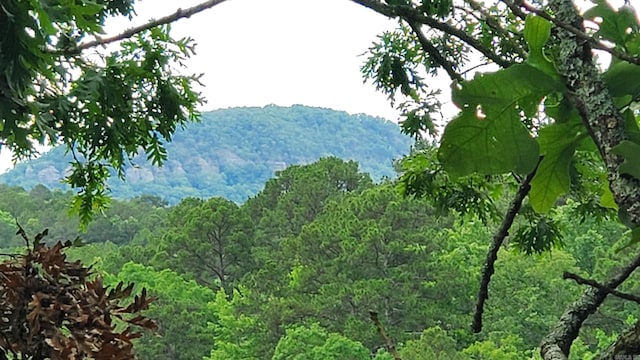 211 Burnt Rock Falls Rd, Fairfield Bay, AR 72088 - view of mountain background with a forest