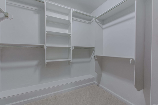 5045 Maple Leaf Dr, Benton, AR 72019 - walk in closet featuring carpet floors