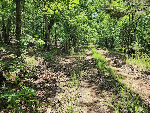 L-14 B-4 Piute Dr, Cherokee Village, AR 72529