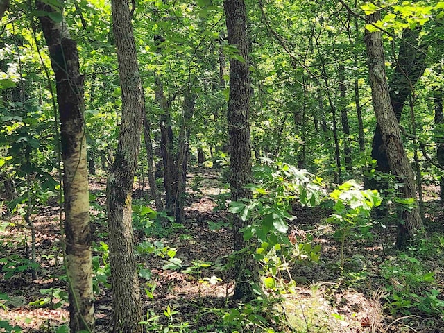 L-14 B-4 Piute Dr, Cherokee Village, AR 72529