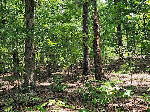L-14 B-4 Piute Dr, Cherokee Village, AR 72529