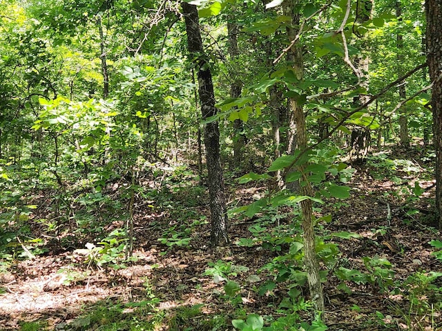 L-14 B-4 Piute Dr, Cherokee Village, AR 72529