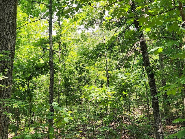 L-14 B-4 Piute Dr, Cherokee Village, AR 72529