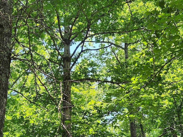 L-14 B-4 Piute Dr, Cherokee Village, AR 72529