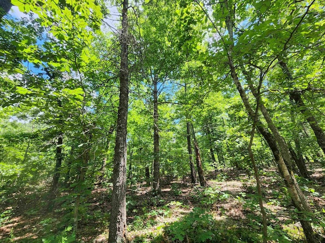 L-14 B-4 Piute Dr, Cherokee Village, AR 72529
