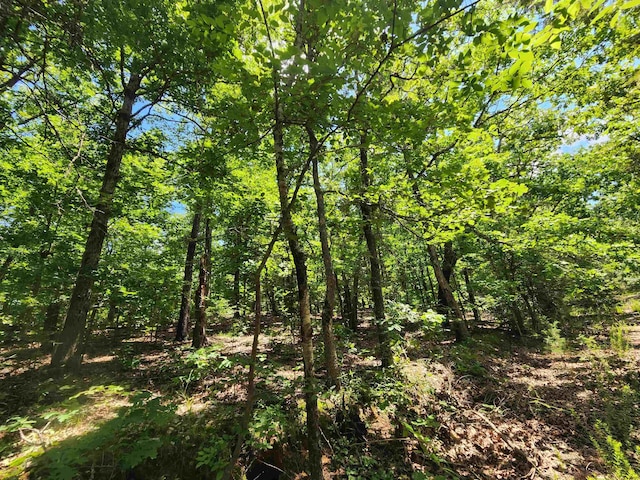 L-14 B-4 Piute Dr, Cherokee Village, AR 72529