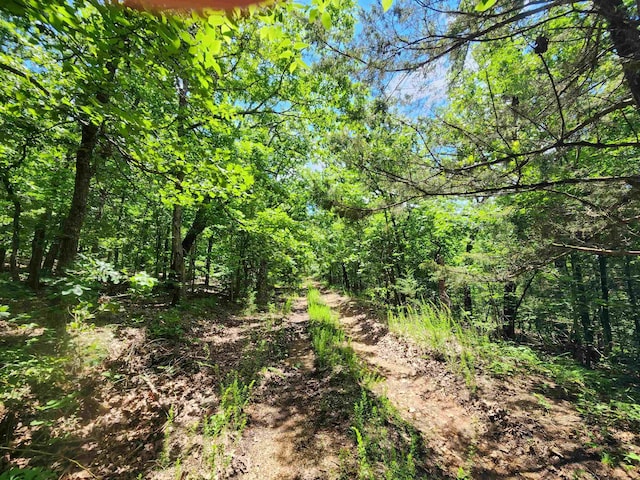L-14 B-4 Piute Dr, Cherokee Village, AR 72529