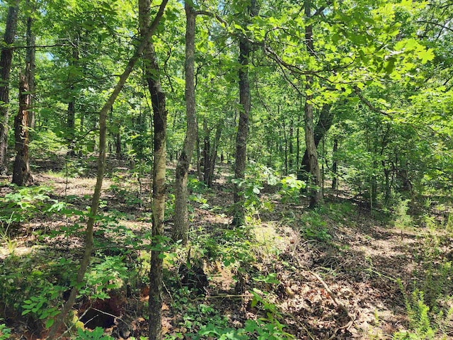 L-14 B-4 Piute Dr, Cherokee Village, AR 72529