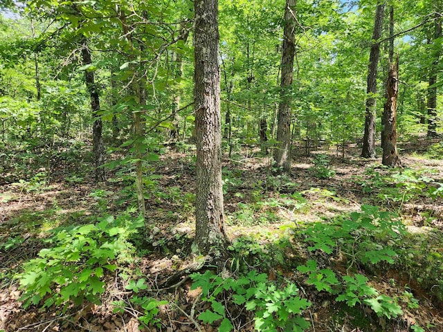 L-14 B-4 Piute Dr, Cherokee Village, AR 72529