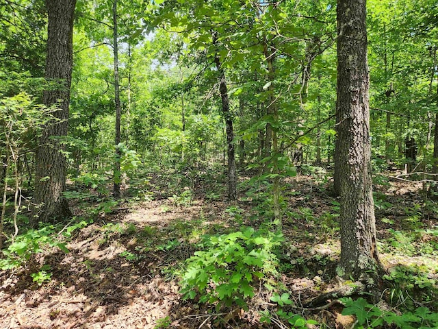 L-14 B-4 Piute Dr, Cherokee Village, AR 72529