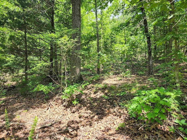L-14 B-4 Piute Dr, Cherokee Village, AR 72529