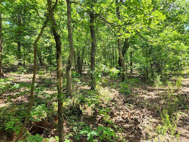 L-14 B-4 Piute Dr, Cherokee Village, AR 72529