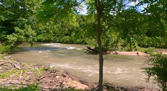 4579 Bayou Access Rd, Mammoth Spring, AR 72554 - view of community